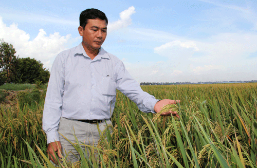 Ảnh Trần Quốc Nam